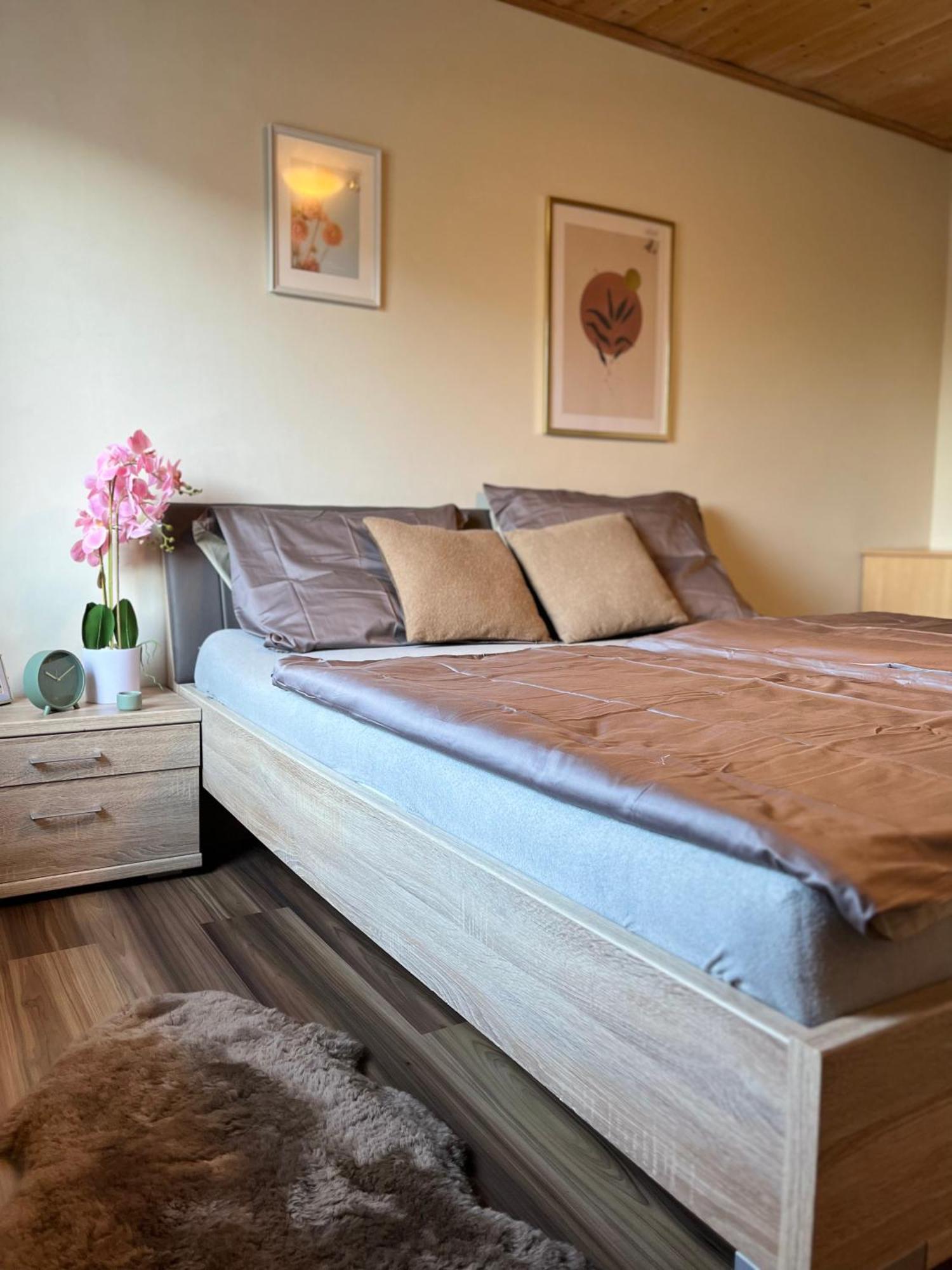 Gemuetliche Wohnung/ Cozy Apartment Niklasdorf Zewnętrze zdjęcie